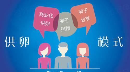 国内供卵公司-国内供卵公司：助力家庭梦想实现