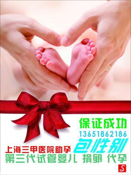 北京试管供卵包成功_北京试管供卵包成功:助您圆梦生育