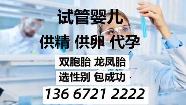 试管供卵试管代怀犯法吗-试管供卵试管代怀犯法吗:伦理与法律的边界探讨